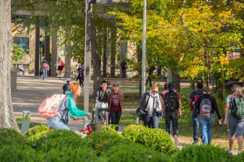 SIU students walking on campus near Morris library.